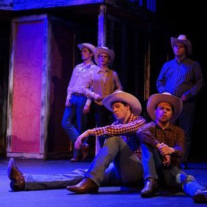 Meet your Posher, Maddy